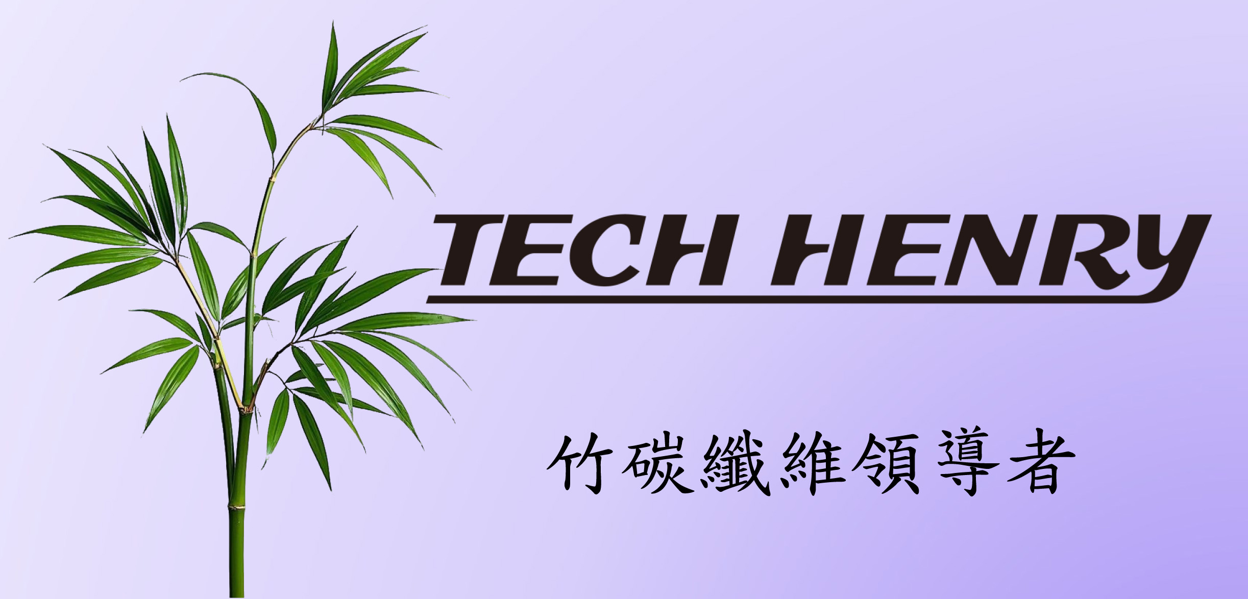 竹碳纖維領導者