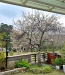 LINE_ALBUM_聯華山莊嵩翠路69號PO網照片_250701_5