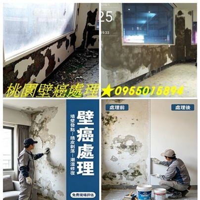 桃園壁癌,桃園壁癌處理,桃園壁癌推薦,壁癌處理桃園,桃園壁癌處理,桃園防水工程,壁癌處理桃園,房屋壁癌桃園,桃園屋頂防水,防水工程價格,頂樓防水油漆桃園,壁癌處理桃園,中壢防水工程,防水公司桃園,龜山防水,八德防水,平鎮防水,鶯歌防水,龍潭防水,桃園透天壁癌處理,桃園頂樓防水